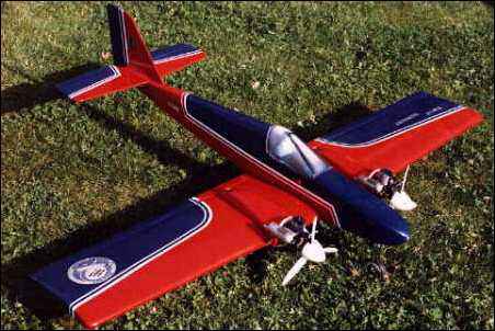 Twin Hornet